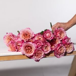 Mystery Box: Specialty Garden Roses!