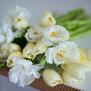 More White Tulips!