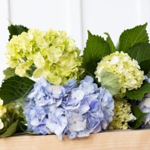 With Heart: Love Thy Neighbor Hydrangeas