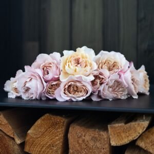 Christina's Favorite Garden Roses