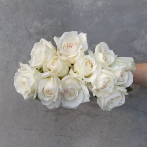 Mystery Box: Garden Roses!