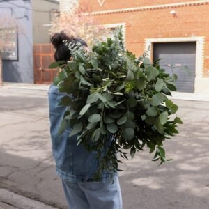 Big Box: Leaf a Message