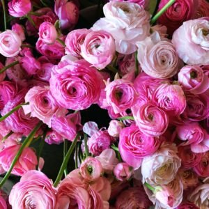 Mystery Box: 100 CA-Grown Ranunculus!